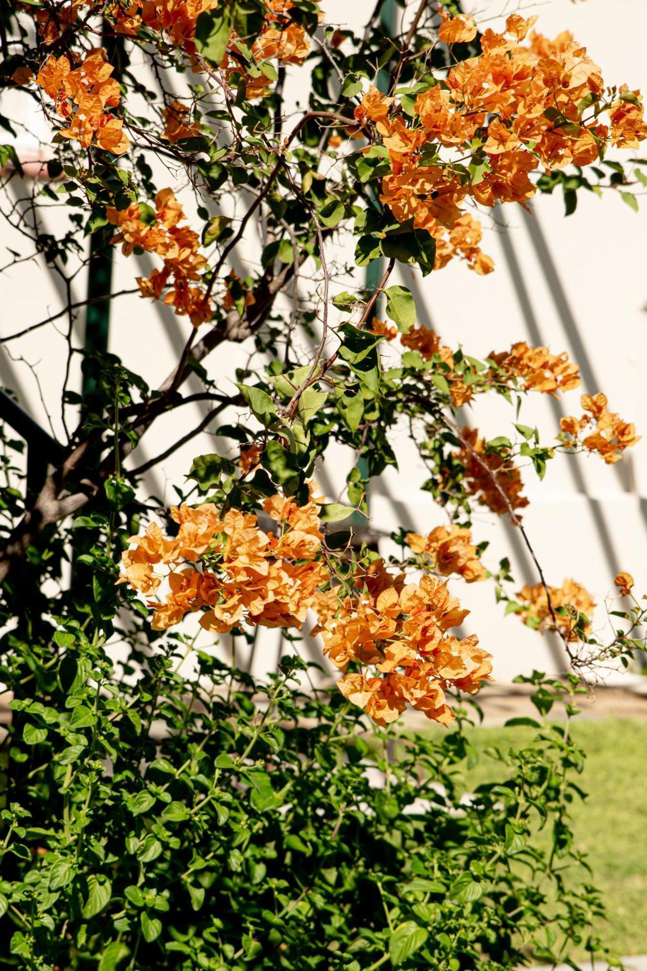 4 Rothman Street B&B Graaff Reinet Bagian luar foto